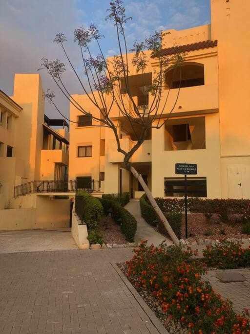 סן חוויאר Casa Palmera מראה חיצוני תמונה